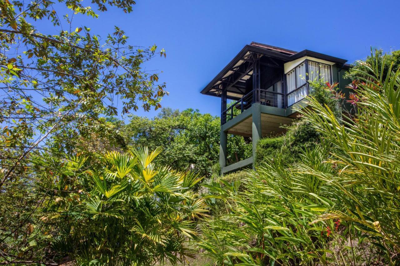 Tiki Villas Rainforest Lodge - Adults Only Uvita Dış mekan fotoğraf